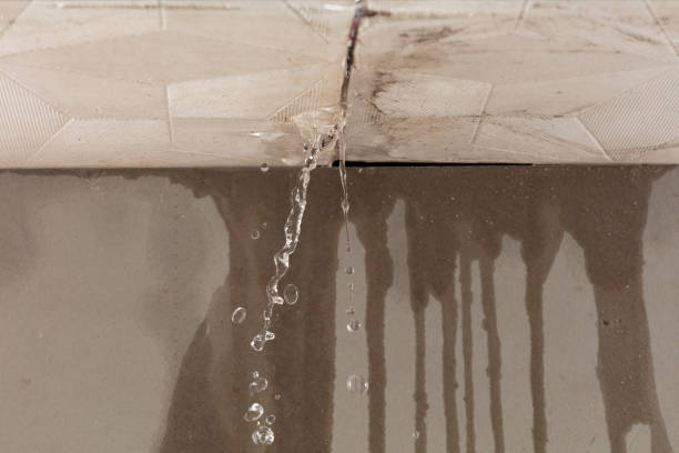 Professional Structural Drying technician working in Cedar Lane, TX